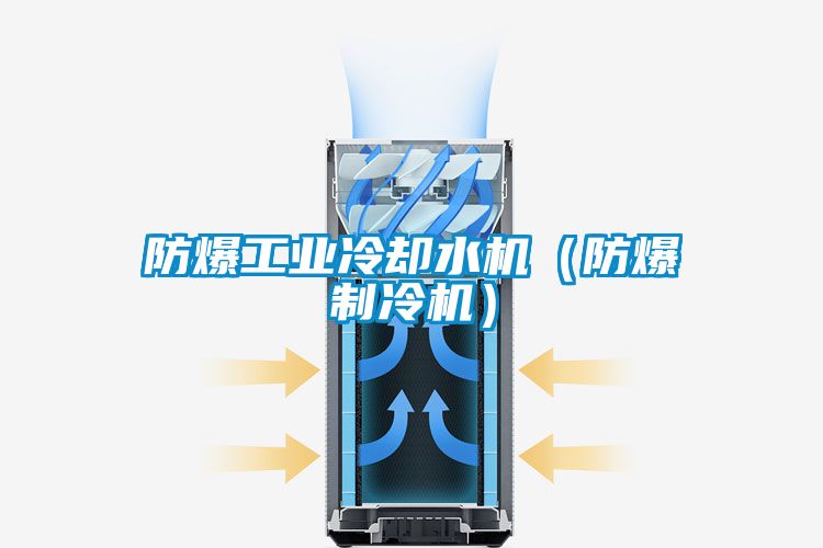 防爆工業冷卻水機（防爆制冷機）