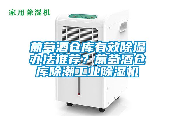 葡萄酒倉庫有效除濕辦法推薦？葡萄酒倉庫除潮工業除濕機