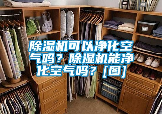 除濕機可以凈化空氣嗎？除濕機能凈化空氣嗎？[圖]