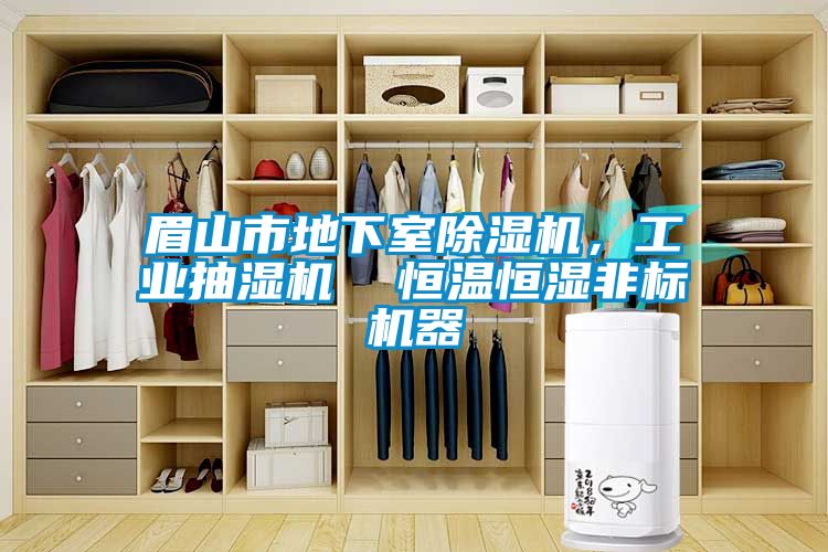 眉山市地下室除濕機，工業抽濕機  恒溫恒濕非標機器