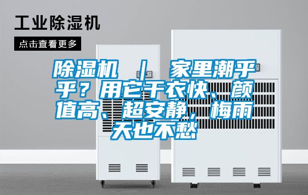 除濕機 ｜ 家里潮乎乎？用它干衣快、顏值高、超安靜，梅雨天也不愁