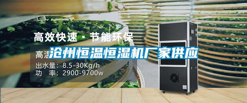 滄州恒溫恒濕機廠家供應