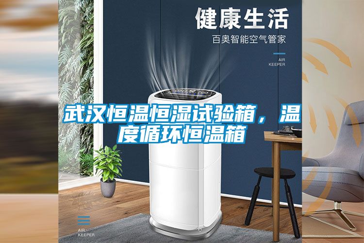 武漢恒溫恒濕試驗箱，溫度循環恒溫箱