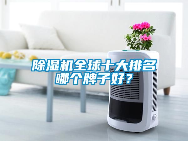 除濕機全球十大排名哪個牌子好？