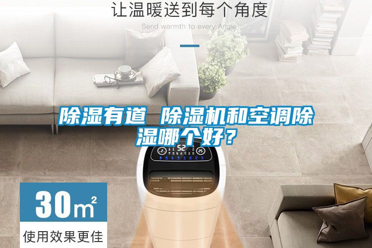 除濕有道 除濕機和空調除濕哪個好？