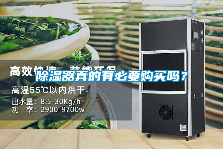 除濕器真的有必要購買嗎？