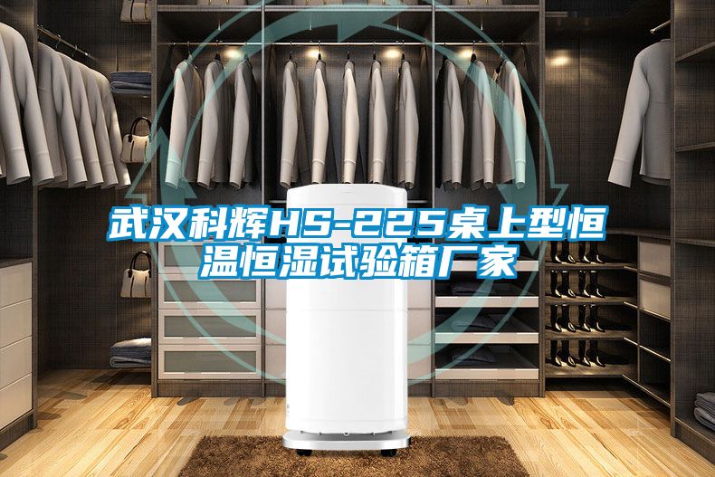 武漢科輝HS-225桌上型恒溫恒濕試驗箱廠家