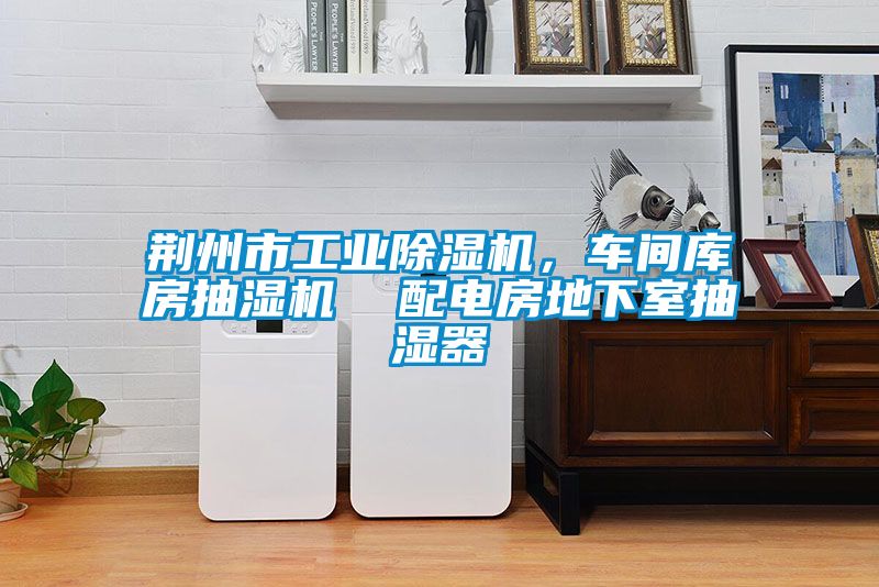 荊州市工業除濕機，車間庫房抽濕機  配電房地下室抽濕器