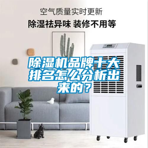 除濕機品牌十大排名怎么分析出來的？