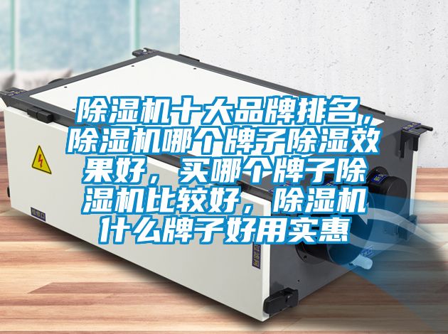 除濕機十大品牌排名，除濕機哪個牌子除濕效果好，買哪個牌子除濕機比較好，除濕機什么牌子好用實惠
