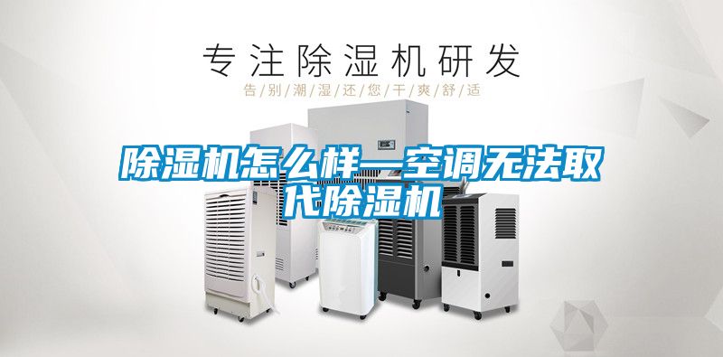 除濕機怎么樣—空調無法取代除濕機