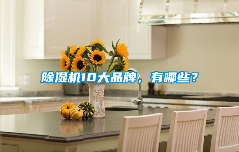 除濕機10大品牌，有哪些？