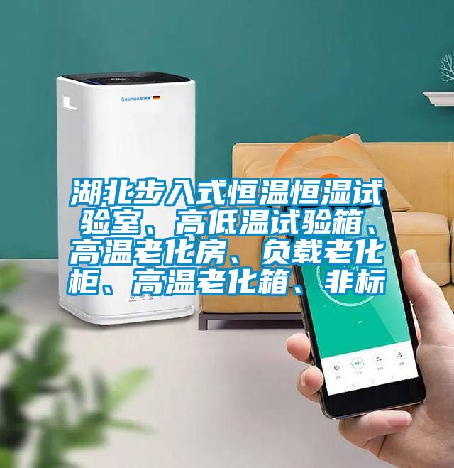 湖北步入式恒溫恒濕試驗室、高低溫試驗箱、高溫老化房、負載老化柜、高溫老化箱、非標