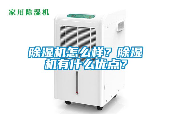 除濕機怎么樣？除濕機有什么優點？