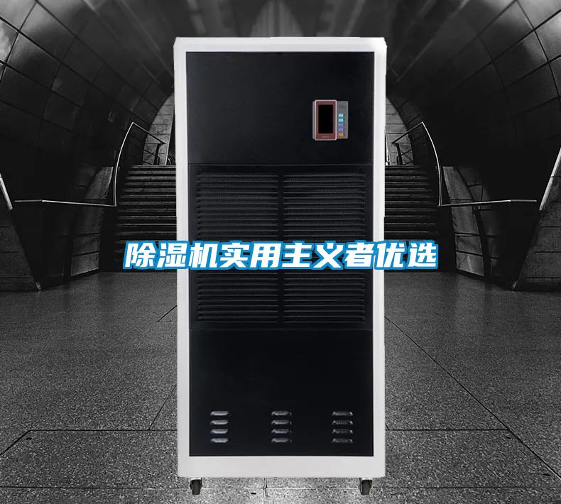 除濕機實用主義者優選