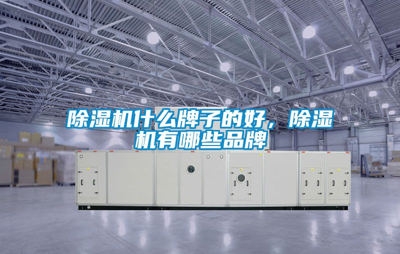 除濕機什么牌子的好，除濕機有哪些品牌
