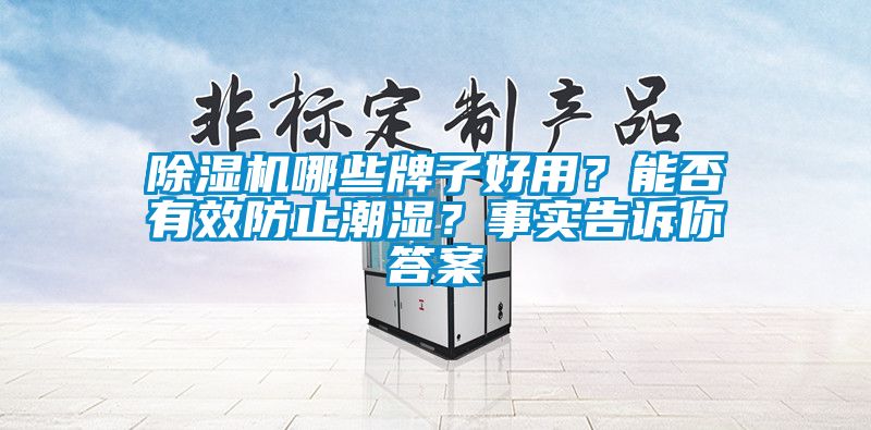 除濕機哪些牌子好用？能否有效防止潮濕？事實告訴你答案