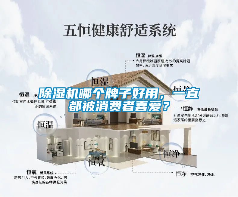 除濕機哪個牌子好用，一直都被消費者喜愛？