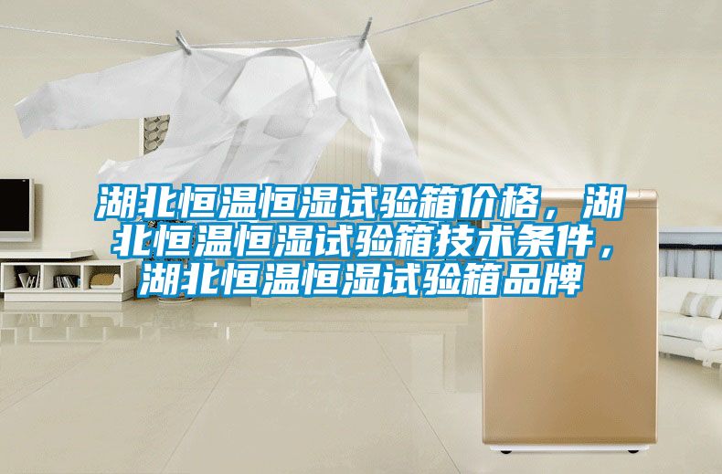 湖北恒溫恒濕試驗箱價格，湖北恒溫恒濕試驗箱技術條件，湖北恒溫恒濕試驗箱品牌