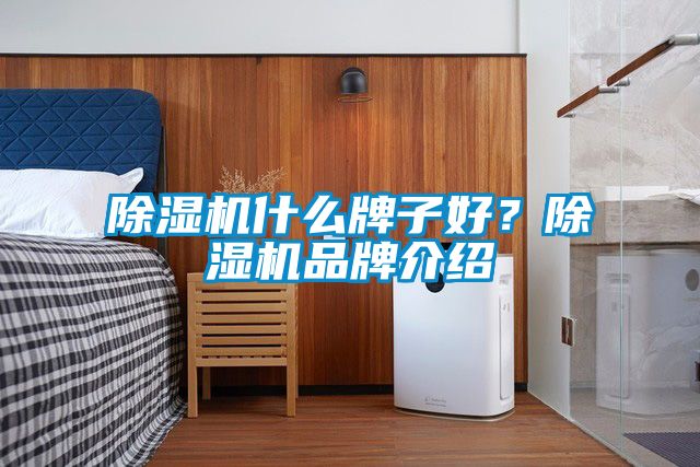除濕機什么牌子好？除濕機品牌介紹