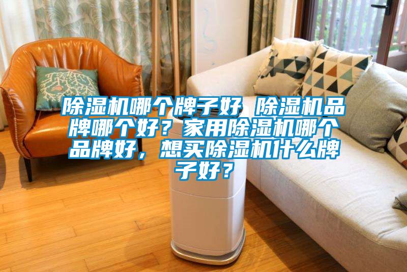 除濕機哪個牌子好 除濕機品牌哪個好？家用除濕機哪個品牌好，想買除濕機什么牌子好？