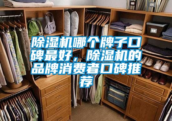 除濕機哪個牌子口碑最好，除濕機的品牌消費者口碑推薦