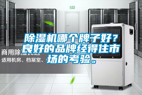除濕機哪個牌子好？良好的品牌經得住市場的考驗。