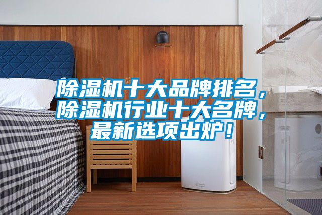 除濕機十大品牌排名，除濕機行業十大名牌，最新選項出爐！