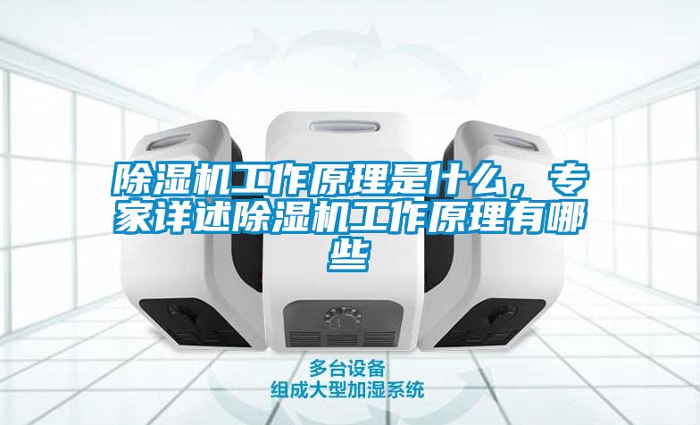 除濕機工作原理是什么，專家詳述除濕機工作原理有哪些