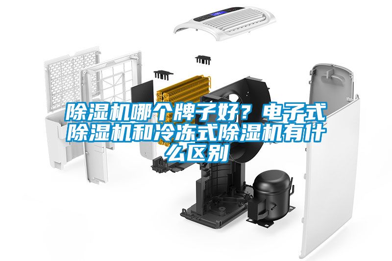 除濕機哪個牌子好？電子式除濕機和冷凍式除濕機有什么區別