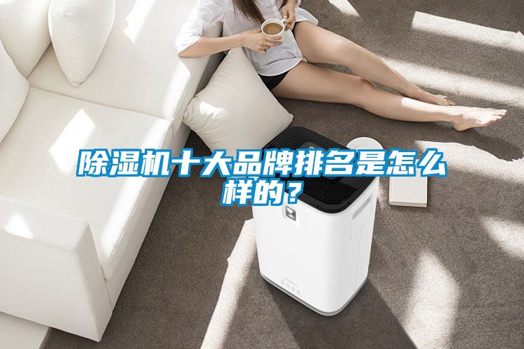 除濕機十大品牌排名是怎么樣的？