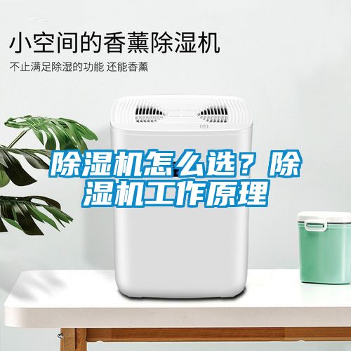 除濕機怎么選？除濕機工作原理