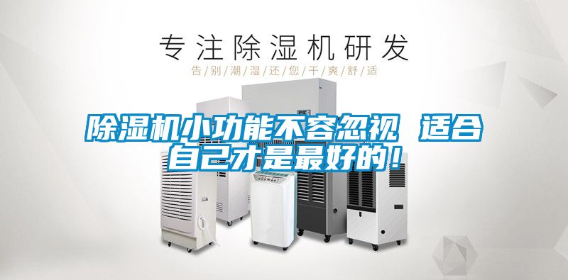 除濕機小功能不容忽視 適合自己才是最好的！