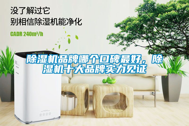 除濕機品牌哪個口碑最好，除濕機十大品牌實力見證