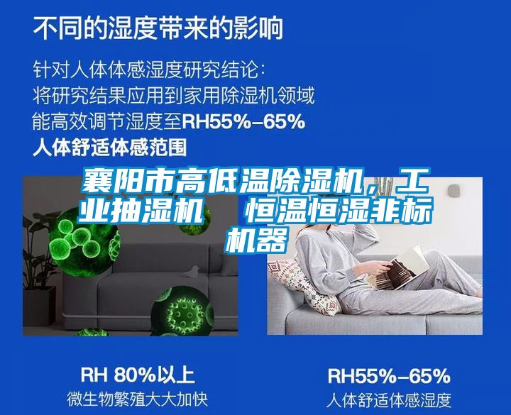 襄陽市高低溫除濕機，工業抽濕機  恒溫恒濕非標機器