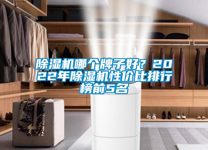 除濕機哪個牌子好？2022年除濕機性價比排行榜前5名