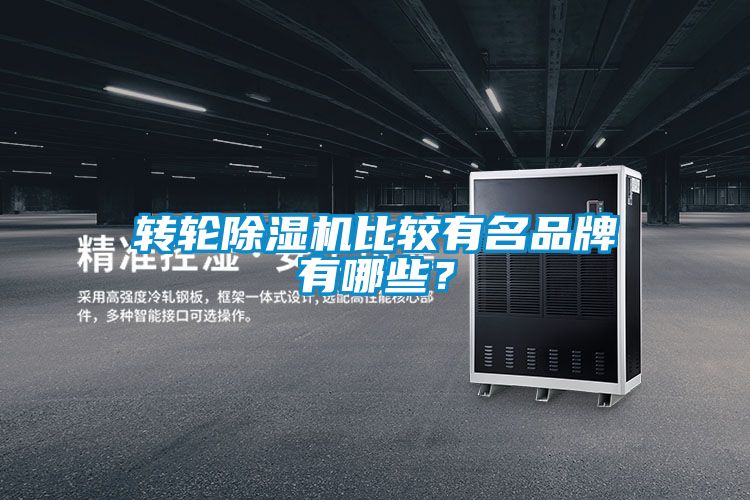 轉輪除濕機比較有名品牌有哪些？