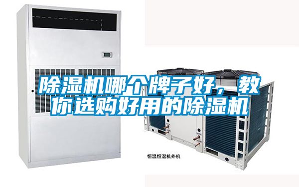 除濕機哪個牌子好，教你選購好用的除濕機