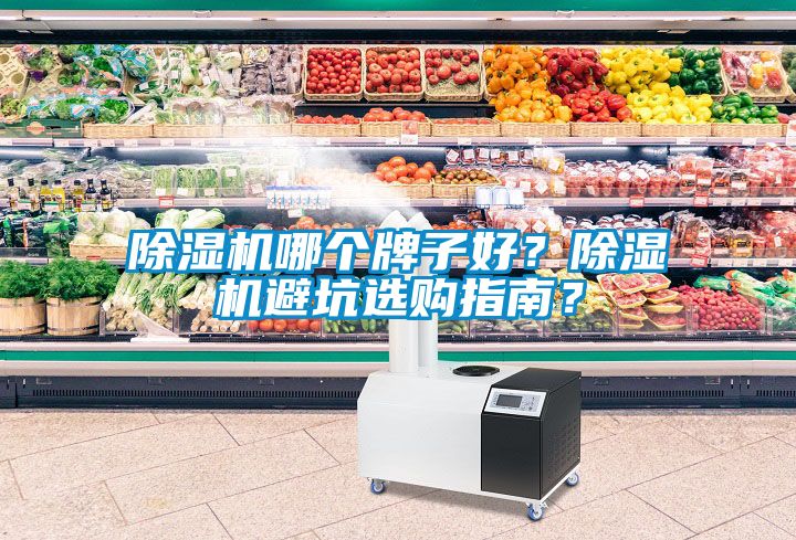 除濕機哪個牌子好？除濕機避坑選購指南？