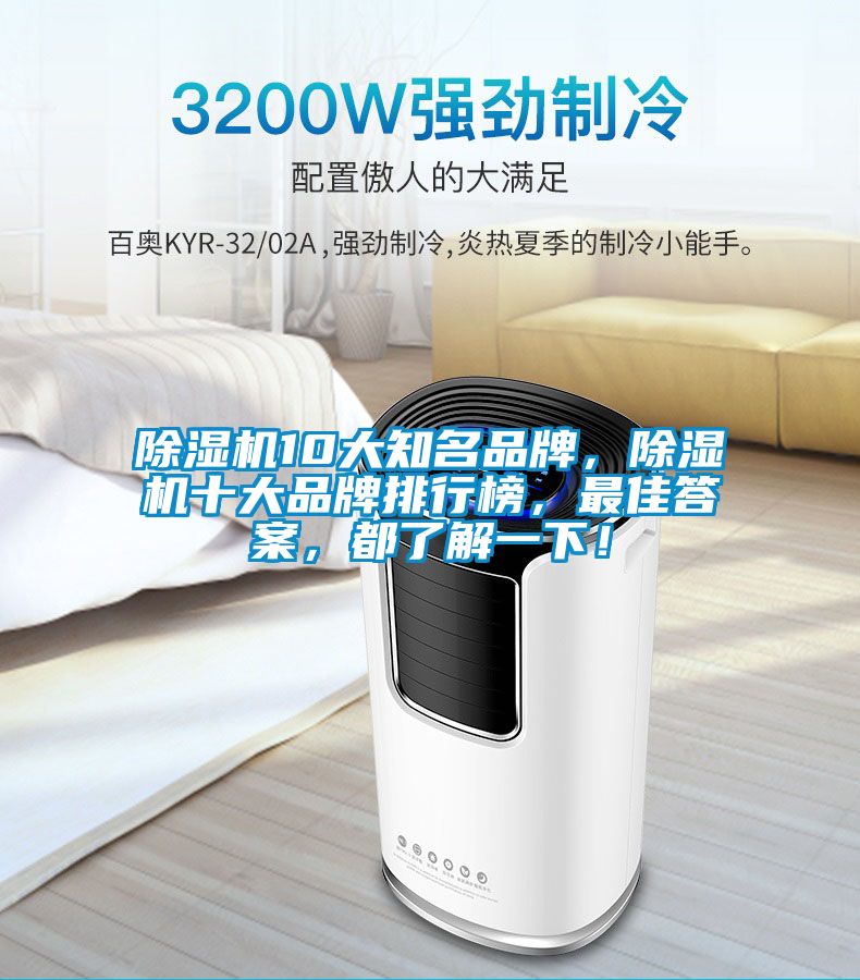 除濕機10大知名品牌，除濕機十大品牌排行榜，最佳答案，都了解一下！