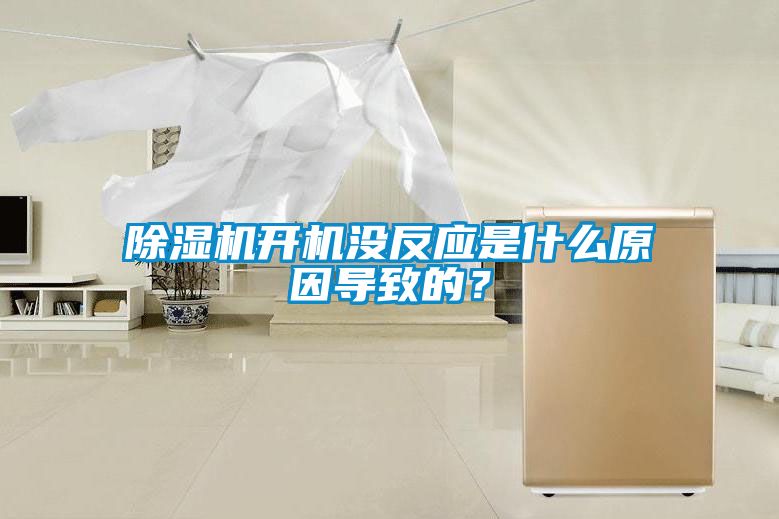 除濕機開機沒反應是什么原因導致的？