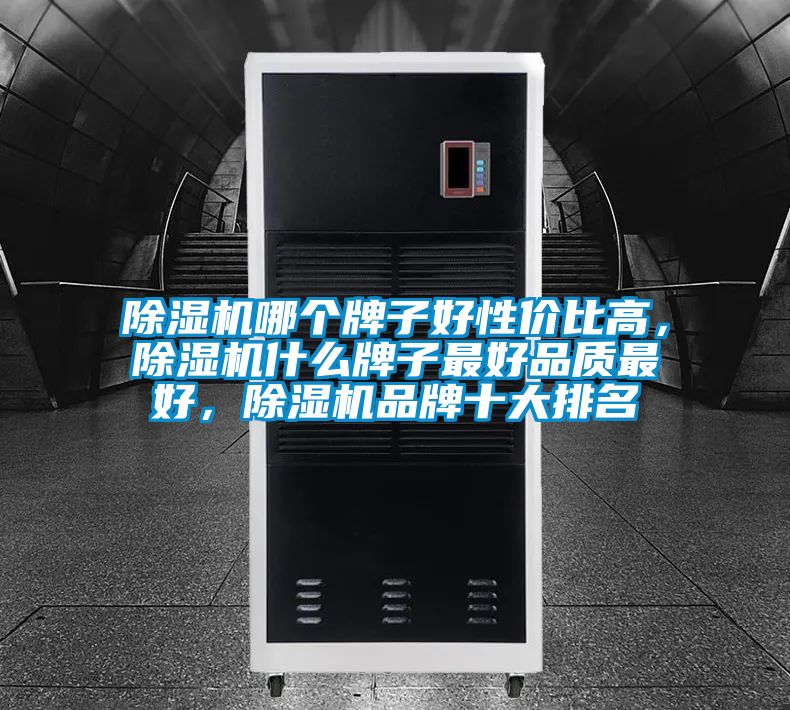 除濕機哪個牌子好性價比高，除濕機什么牌子最好品質最好，除濕機品牌十大排名