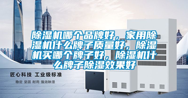 除濕機哪個品牌好，家用除濕機什么牌子質量好，除濕機買哪個牌子好，除濕機什么牌子除濕效果好