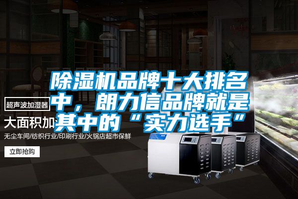 除濕機品牌十大排名中，朗力信品牌就是其中的“實力選手”