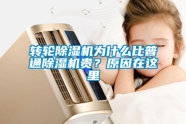 轉輪除濕機為什么比普通除濕機貴？原因在這里