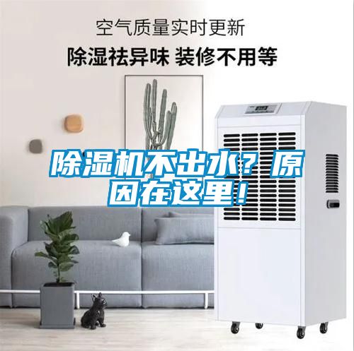 除濕機不出水？原因在這里！