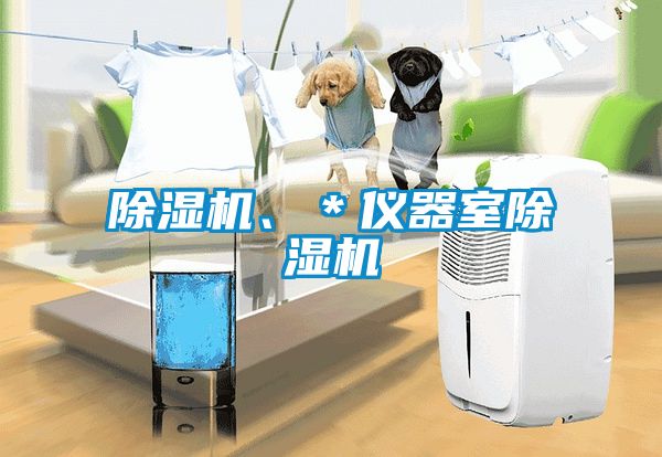 除濕機、＊儀器室除濕機