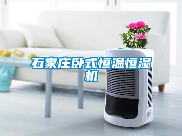 石家莊臥式恒溫恒濕機