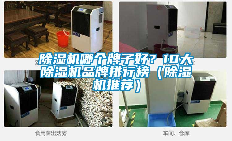 除濕機哪個牌子好？10大除濕機品牌排行榜（除濕機推薦）