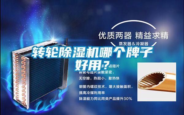轉輪除濕機哪個牌子好用？